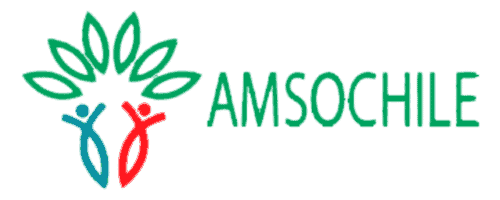 Amso Logo